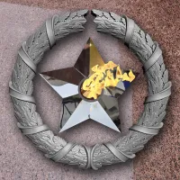 Венок вечный огонь чугун звезда нержавеющая сталь в Дубне (518577)