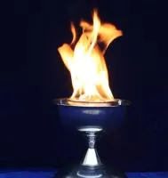 Мириатюрная чаша для огня в Дубне ∅ 210 мм. (518979)