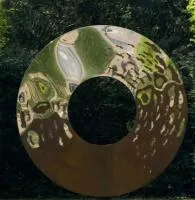 Уличный ДИЗАЙН — ЛИНЗА (519085) ∅ 1150 сталь AISI304 Дубна 