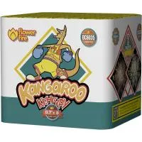 Батарея салютов Кенгуру ОС6035 купить от производителя Огненный Цветок — Дубна