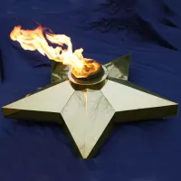 Звезда (газовая горелка) (1636) производство комплект горелка ГВД 379 10 89 00 ПС - ø 1000 мм. ветроустойчивая  в Дубне