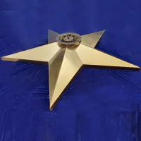Звезда вечный огонь (1628) поставка комплект горелка ГВД 379 10 89 00 ПС ø 1100 мм. пустотелая  в Дубне
